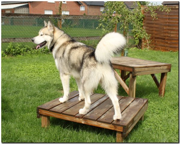 Besuch Nanooq 169.jpg